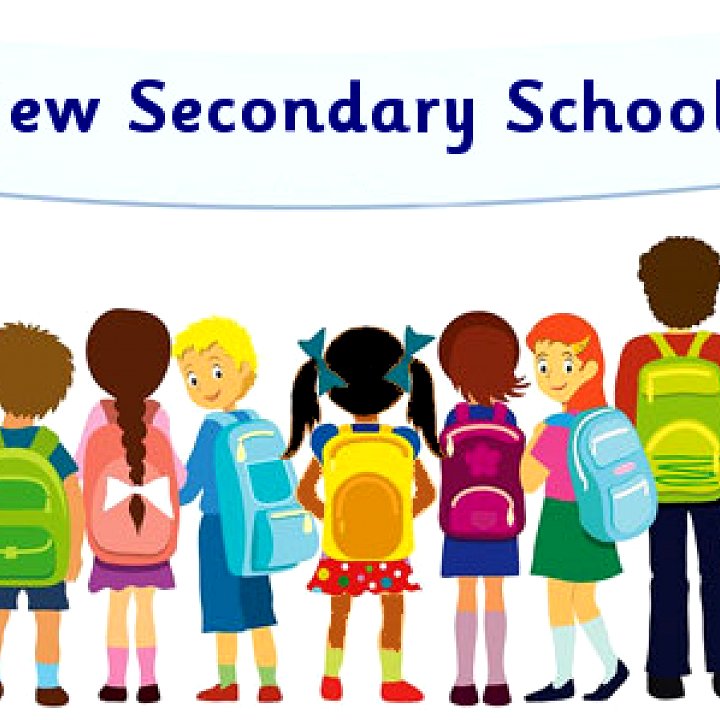 Psychological impact of primary to secondary school transition