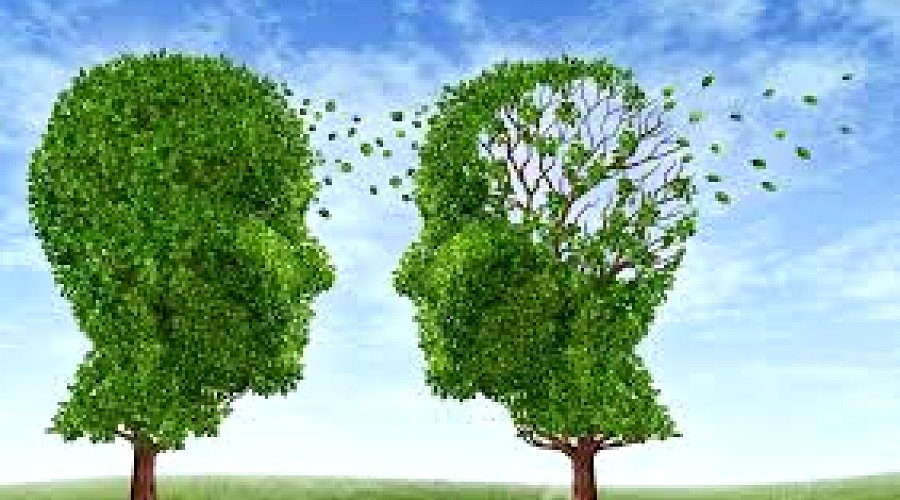 Expectations, Sensitivity and Ability to Manage Hallucinations in Voice-hearers and Individuals Withs Schizophrenia