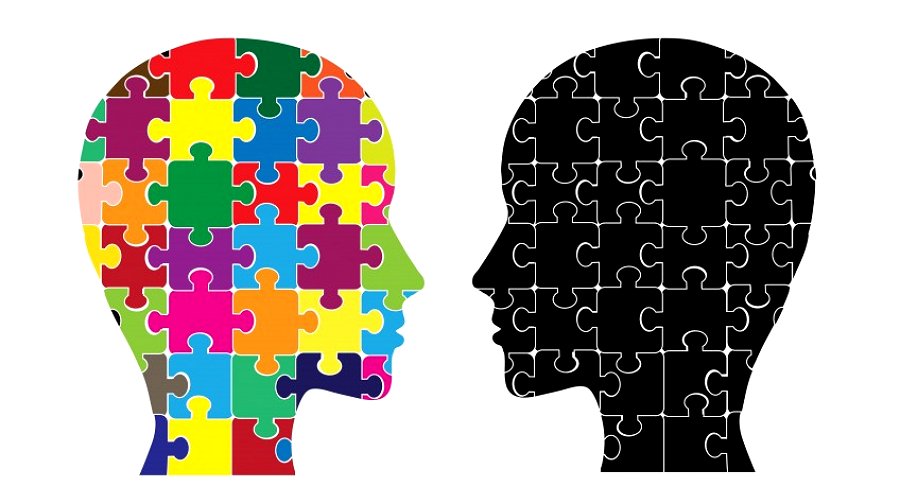 Naughty or Nice? Personality Traits Linked to Differences in Brain Structure